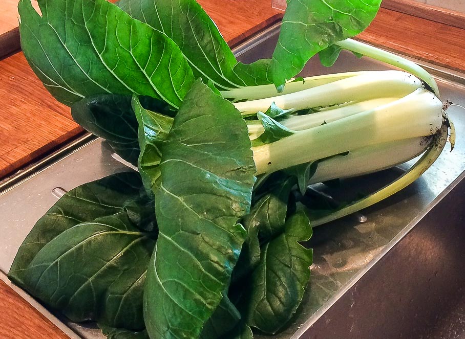 PakChoi