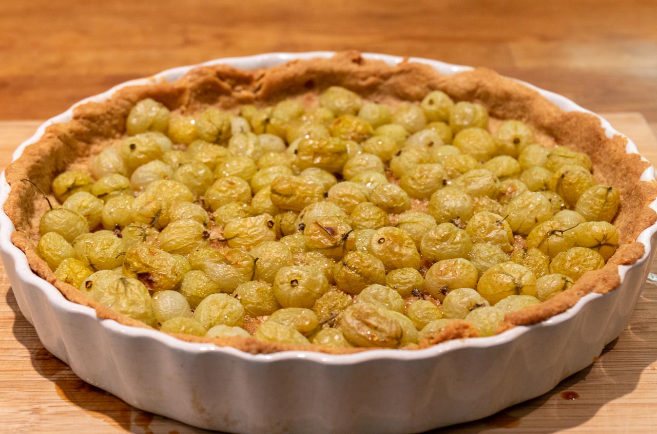 Nygräddad krusbärspaj